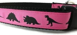 Dinosaur Dog Collar, Caninedesign, Green, T-Rex, Stegosaurus, Triceratops, 1 Inch Wide, Adjustable, Nylon, Medium And Large (Medium 13-19") -Zoo Shop 41i8pn1riiL. AC 1