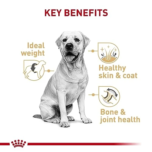 Royal Canin Labrador Retriever Adult Dry Dog Food, 30 Lb Bag 6 Royal Canin Labrador Retriever Adult Dry Dog Food, 30 Lb Bag - Image 4