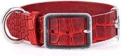 MyFamily Adjustable Dog Collar In Genuine Italian Made Leather, Antique Silver Metallic Finish, Comfortable And Durable, Handmade, Tucson Collection -Zoo Shop 41jCS4x28L. AC