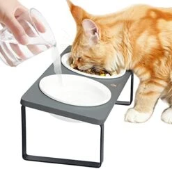 Elevated Cat Bowls, Raised Ceramic Cats Puppy Dishes For Food And Water, Tilted Bamboo Stand For Anti Vomiting, Indoor 5.5 Inch Wide Dish For Whisker Friendly (Iron Stand-Brown, Bowl 5.5in) -Zoo Shop 41jL3mzDPQL. AC