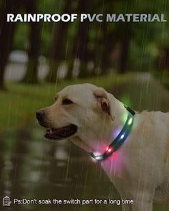 Joytale Light Up Dog Collars Rechargeable, High Visibility LED Dog Collar for Pet Night Walking, 3 Flash Modes, Rainproof PVC Glow Collar Adjustable for Small Medium Large Dogs, Teal, L -Zoo Shop 41jbJGeAwvL