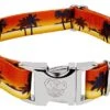 Country Brook Petz - Premium Caribbean Sunset Dog Collar - Summer Breeze Collection With 5 Sunny Designs (1 Inch, Large) -Zoo Shop 41jtv0xv6qL