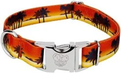 Country Brook Petz - Premium Caribbean Sunset Dog Collar - Summer Breeze Collection With 5 Sunny Designs (1 Inch, Large) -Zoo Shop 41jtv0xv6qL. AC 1