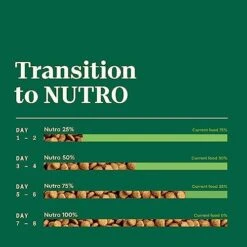 NUTRO NATURAL CHOICE Small Breed Adult Dry Dog Food, Chicken & Brown Rice Recipe Dog Kibble, 13 Lb. Bag -Zoo Shop 41kBqYULC0L