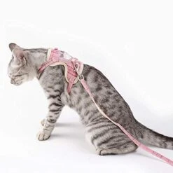 XxiaoTHAWxe Pet Leash Traction Rope, Pet Nylon Mesh Harness Leash Collar Clothes Vest Cat Kitten Cord Traction Rope For Walking Training Running - Blue L 16 XxiaoTHAWxe Pet Leash Traction Rope, Pet Nylon Mesh Harness Leash Collar Clothes Vest Cat Kitten Cord Traction Rope For Walking Training Running - Blue L -Zoo Shop 41kD5qqAOaL