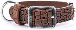 MyFamily Adjustable Dog Collar In Genuine Italian Made Leather, Antique Silver Metallic Finish, Comfortable And Durable, Handmade, Tucson Collection -Zoo Shop 41kV5Gc8uCL. AC