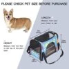 Pet Carrier Hello Summer Cute Food Ice Cream Pineapple Soft-Sided Pet Travel Carriers For Cats,Dogs Puppy Comfort Portable Foldable Pet Bag Airline Approved -Zoo Shop 41kjA1fztxL