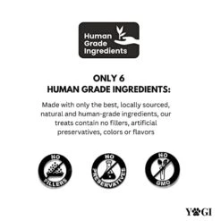 Honest5 - Human-Grade - Frozen Fresh Fish & Broccoli Dog Food - Rich In Omega-3s, 6 Ingredients, Promotes A Shiny Coat And A Healthy Heart, 48 Oz -Zoo Shop 41kmOB6Ud2L