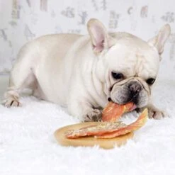 Jungle Calling Dog Treats Chicken Jerky Training Treats, Slow Roasted Snacks For Medium And Large Dogs Chewy Treats 10.6 Ounce (Chicken Jerky) 10 Jungle Calling Dog Treats Chicken Jerky Training Treats, Slow Roasted Snacks For Medium And Large Dogs Chewy Treats 10.6 Ounce (Chicken Jerky) -Zoo Shop 41lIeMulHIL