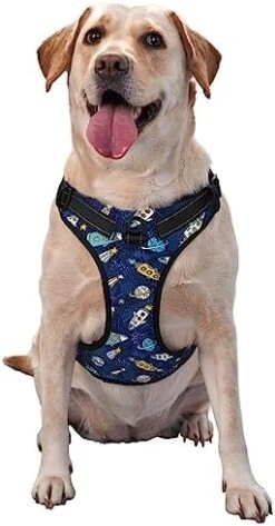 Cartoon Vegetable Food No Pull Dog Harness For Large Dogs No Pull Dog Leash, Adjustable Large Dog Harness Reflective Dog Vest Harness, Easy Walk Dog Harness For Medium Dogs No Pull Pet Harness -Zoo Shop 41lfwtczHkL. AC 1