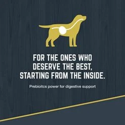 Black Gold Explorer Dry Dog Food For Adult Dogs, Original Performance 26/18 Formula, 50 Lb Bag -Zoo Shop 41ljEZjosOL