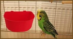 ORIBUKI 5 Pack Cage Cups Chicken Birds Feeder Water Bowl 25 OZ Rabbit Feeding Watering Dish For Travel Carrier Cat Puppy Food Dispenser Hanging Wire Cages Treats Box Seed Drinking Coop Cup Birdbath -Zoo Shop 41lkjlXIcVL