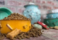 Carmel Ceramica Dog Bowl - Large -Zoo Shop 41lzaIM5QnL