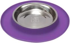 Messy Cats Single Silicone Feeder With Stainless Saucer Shaped Bowl | Anti-Slip Non-Skid Cat Food Bowl | One Cat Bowl In Feeding/Water Station | 1.75 Cups (Purple) -Zoo Shop 41m7qVmHPWL. AC
