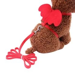 XxiaoTHAWxe Pet Leash Traction Rope, Cute Solid Color Mini Wings Nylon Pet Harness Chest Strap Dog Cat Lead Leash For Walking Training Running - Coffee XS -Zoo Shop 41mo8NeaKML