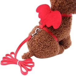 XxiaoTHAWxe Pet Leash Traction Rope, Cute Solid Color Mini Wings Nylon Pet Harness Chest Strap Dog Cat Lead Leash For Walking Training Running - Coffee XS -Zoo Shop 41mo8NeaKML. AC