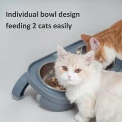 MOCATE Raised Cat And Dog Bowl, Elevated And Tilted Pet Feeding Bowl Set With 2 Stainless Steel Food And Water Bowls(2 * 12oz), Adjustable Non-Slip Plastic Stand -Zoo Shop 41mrGUHnqyL