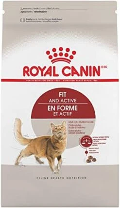 Royal Canin Adult Fit & Active Dry Adult Cat Food, 3 Lb Bag -Zoo Shop 41n6KlvEZYL. AC 1