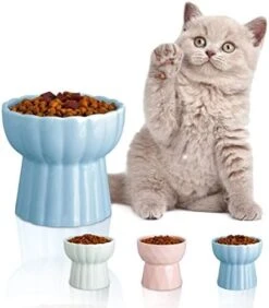 Jemirry Ceramic Raised Cat Bowl Anti Vomiting, Elevated Cat Bowls With 15° Tilt Angle, Non-Slip Food And Water Bowls For Cat And Dog, Protect Pet's Spine, Dishwasher Safe (Pink) 29 Jemirry Ceramic Raised Cat Bowl Anti Vomiting, Elevated Cat Bowls With 15° Tilt Angle, Non-Slip Food And Water Bowls For Cat And Dog, Protect Pet's Spine, Dishwasher Safe (Pink) -Zoo Shop 41nJLplsbwL. AC