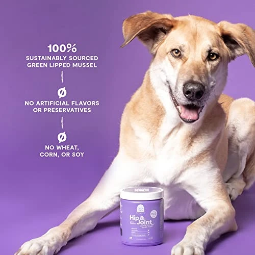 Open Farm Hip & Joint Chews, Dog Supplement, Dog Vitamins, Supports Joint Health And Mobility Using Traceable And Vet-Approved Ingredients, 12.7 Oz, 90 Count 6 Open Farm Hip & Joint Chews, Dog Supplement, Dog Vitamins, Supports Joint Health And Mobility Using Traceable And Vet-Approved Ingredients, 12.7 Oz, 90 Count - Image 4