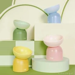 MS!MAKE SURE Cat Bowl, Elevated/Raised Ceramic Cat Food Bowl, Protects Spine, Relieves Whisker Fatigue, Superb Anti-Bacterial, Perfect For Indoor Cats (Green) -Zoo Shop 41nLNRp6xoL