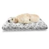 Ambesonne Oak Tree Pet Bed, Acorn Nut Of Plant Foliage Woodland Food Of Squirrel Animals Mono Colors, Chew Resistant Pad For Dogs And Cats Cushion With Removable Cover, 24" X 39", White And Dark Grey