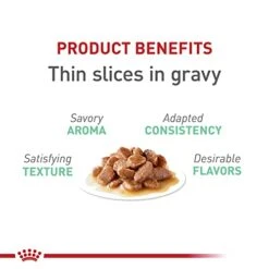 Royal Canin Digestive Care Thin Slices In Gravy Wet Cat Food, 3 Oz Cans 6-count -Zoo Shop 41nalnVTsfL