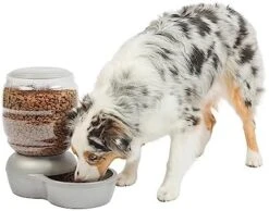 Petmate Pet Cafe Feeder Dog And Cat Feeder Pearl Tan, 12 Lb 29 Petmate Pet Cafe Feeder Dog And Cat Feeder Pearl Tan, 12 Lb -Zoo Shop 41nf Q7OgcL. AC
