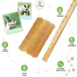 Nature Gnaws Pork Skin Chews For Dogs - Premium Natural Tasty Jerky Treats - Long Lasting Dog Chew Bones - Rawhide Free 6 Count (Pack Of 1) -Zoo Shop 41nzxIxvViL