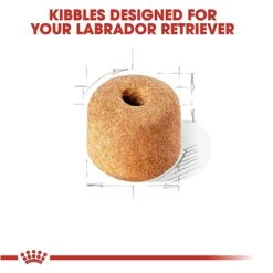 Royal Canin Labrador Retriever Adult Dry Dog Food, 30 Lb Bag 12 Royal Canin Labrador Retriever Adult Dry Dog Food, 30 Lb Bag -Zoo Shop 41oOj6DUnEL