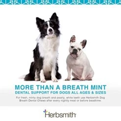 Herbsmith Dog Breath - Dog Dental Care Solution - Natural Dog Breath Freshener That Tackles Tartar - Dental Powder For Dogs - 500g Powder -Zoo Shop 41ohVsm49bL