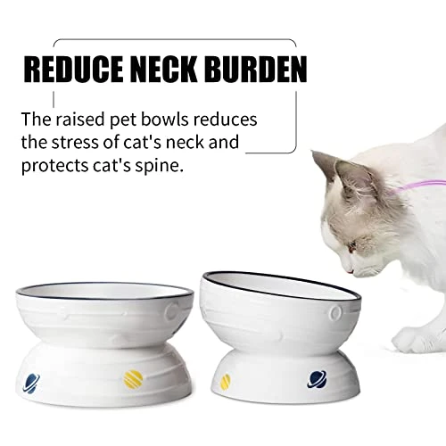 Hasense Tilted Cat Bowl Anti Vomiting, Double Raised Cat Bowls For Food And Water, Elevated Ceramic Small Dog Feeder, Protect Pet's Spine, Dishwasher Safe, Porcelain Slanted Dishes, White Set Of 2 5 Hasense Tilted Cat Bowl Anti Vomiting, Double Raised Cat Bowls For Food And Water, Elevated Ceramic Small Dog Feeder, Protect Pet's Spine, Dishwasher Safe, Porcelain Slanted Dishes, White Set Of 2 - Image 3