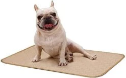 Large Pee Pads For Dog (2-Pack) Washable Puppy Wee Wee Pad Waterproof Potty Training Eco-Friendly Whelping Pet Urine Mats -Zoo Shop 41p94n9eaiL. AC