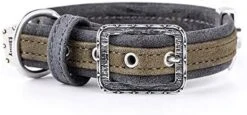 MyFamily Adjustable Dog Collar In Italian Made In Italy Leatherette, Antique Silver Metallic Finish, Comfortable And Durable, Handmade, London Collection -Zoo Shop 41pCIwFdjiL. AC 2