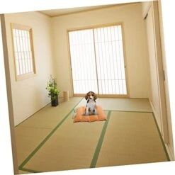 Balacoo Mat Warm Decorative Puppy Crate Soft Household Mattress Cave Pets Sleeping Pad Dogs Pumpkin Nest Mats House Thermal For Warming Creative Cushion Cat Bed Warmth Pet Small Home And -Zoo Shop 41pTz4iWSmL