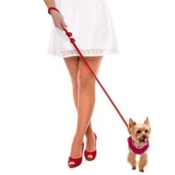 Kuntrona Suede Leather Small Dog Cat Leash Bling Rhinestone Dog Pet Walking Leash Leads With Cute Bowknot For Small Medium Dogs Running Red Free Size -Zoo Shop 41pVn5LrBnL