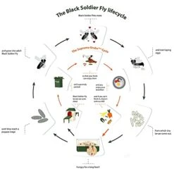 Supreme Grubs Natural Black Soldier Fly Larvae For Chickens, 85X More Calcium Than Mealworms-High Protein Grub Food Chicken Treats For Hens, Probiotic-Rich Chicken Feed, Calcium-Dense Bird Treat 5lb -Zoo Shop 41ppOdfdqbL