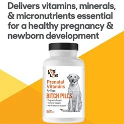Bitch Pills | Dog Prenatal Vitamins | Prenatal Vitamins For Dogs | Prenatal For Dogs | Thomas Pet Earlier | 120 Tablets -Zoo Shop 41ppu88fiBL