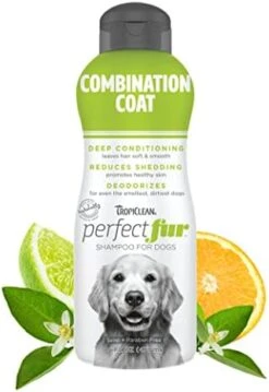 TropiClean Perfect Fur Dog Shampoo For Shedding Control For All Breeds With A Short Double Coat, 16 Ounce -Zoo Shop 41q540x2xlL. AC