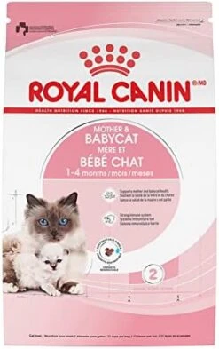 Royal Canin Feline Health Nutrition Mother & Babycat Dry Cat Food For Newborn Kittens And Pregnant Or Nursing Cats, 6 Lb Bag -Zoo Shop 41qCpj9mqKL. AC