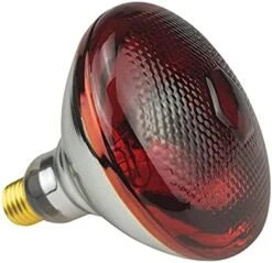BONGBADA Heat Lamp Bulb PAR38 175 Watts 2 Pack Red Infrared Heavy Thickened Glass Lamp Bulb For Food Service, Brooder Bulb, Chicks, Pet, Bathroom, Light Therapy, Reptiles And Amphibian Use E26 Base -Zoo Shop 41qKVKtCIS. AC 1