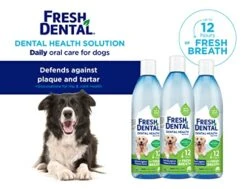 Naturel Promise Fresh Dental Water Additive - Dental Health Solution For Dogs Plus Hip & Joint - Freshens Breath Up To 12 Hours - No Brushing Required -Glucosamine Helps Hips & Joints-18 Fl Oz, 3 Pack