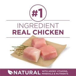 Purina ONE Plus Healthy Puppy Formula High Protein Natural Dry Puppy Food With Added Vitamins, Minerals And Nutrients - 31.1 Lb. Bag -Zoo Shop 41r4XUTV01L