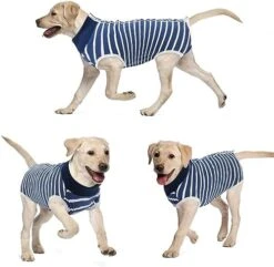 Recovery Suit For Male Dogs Neutered - Recovery Shirt For Male Female Dog Cats Light Incontinence Surgery Suit For Dogs - Recovery Suits For Female Dogs After Surgery -Vu01,Bluestripe-S -Zoo Shop 41r4zzYHvEL. AC
