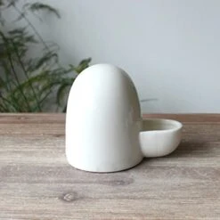 Balacoo Water Bottle Water Dispenser 2pcs Hegdehog Pet Dog Cat Mini Ferret Food For Feeder Supplies Parrot Small Hamster Animal Dispenser Bowl Water Guinea-pig Bird Water Bottle Water Dispenser -Zoo Shop 41r5BU6dtaL