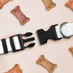 Small 'Fast Food' Dog Collar (PR00032645) -Zoo Shop 41rWWRPYnhL 2