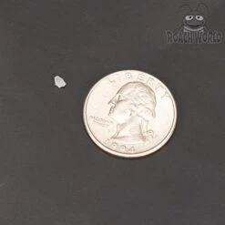 Roach Chow For Dubia & Crickets With Super Foods Bundle - .5 Lb Dry Chow - Insect Water Crystals - 1 Bug Jelly (Honey Banana) -Zoo Shop 41rgkxPIQ3L