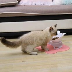 SOFEA Cat Necklace Storage Necklace Storage Necklace StorageDog Double Bowls With Raised Stand Pet Food Water Feeder 15° Tilted Container -Zoo Shop 41sDAfKggWL