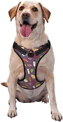Cartoon Vegetable Food No Pull Dog Harness For Large Dogs No Pull Dog Leash, Adjustable Large Dog Harness Reflective Dog Vest Harness, Easy Walk Dog Harness For Medium Dogs No Pull Pet Harness -Zoo Shop 41sDIV4kgfL. AC