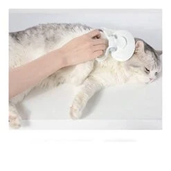 YangYan Kitten Cats Pet Adjustable Comfortable Durable Combs Hair Remover Cats Brush Pet Soft Grooming Tools (Color : Cherry Pink) -Zoo Shop 41sWYkpP4aL 1